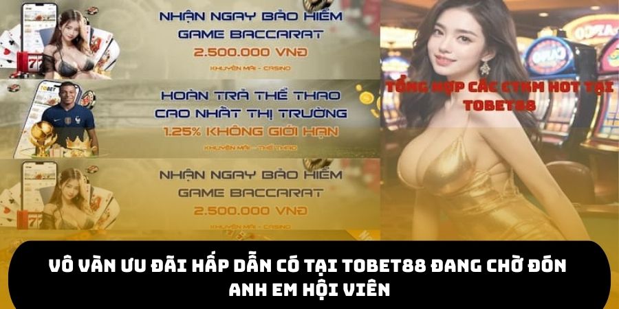 Vô vàn ưu đãi hấp dẫn có tại TOBET88 đang chờ đón anh em hội viên