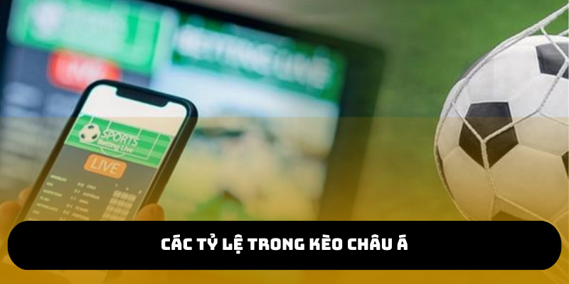 Có nhiều tỷ lệ kèo chấp khác nhau phụ thuộc vào từng trận đấu