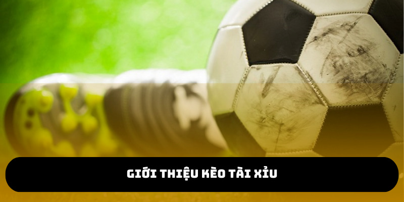 Kèo tài xỉu hiện được nhiều người chơi cá cược bóng đá quan tâm