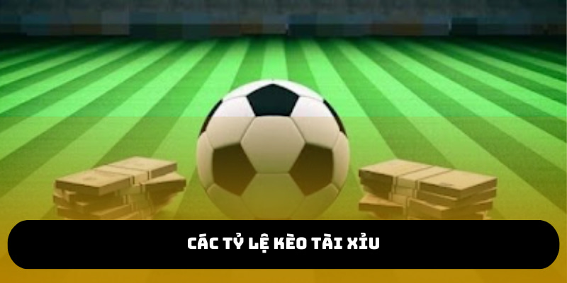 Các mốc tài xỉu được đưa ra dựa trên nhiều yếu tố