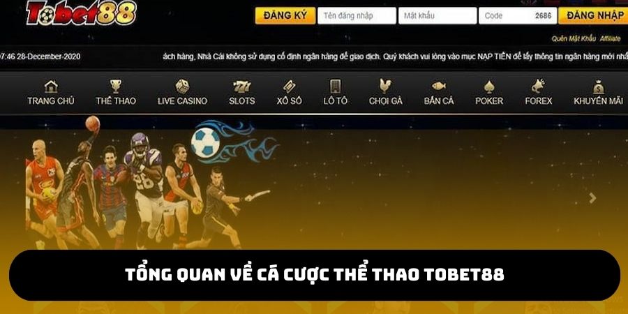 Tổng quan thông tin về sảnh cá cược thể thao TOBET88